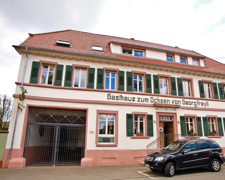 Gasthaus Zum Ochsen Hochstadt  المظهر الخارجي الصورة